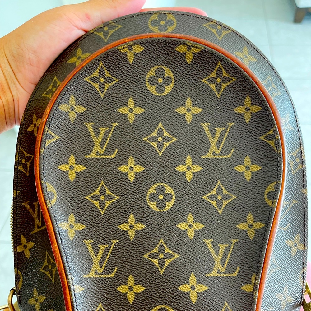 Louis Vuitton Turtle Shell bag